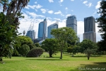 Blick vom Botanischen Garten auf die Skyline - Sydney