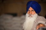 Sikh dürfen nie ihren Bart schneiden