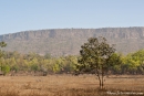 Im Bandhavgarh National Park