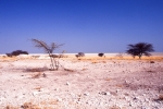 etosha021