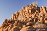 Mowani_DSC04368