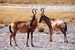 Namibia099