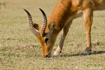 DSC04609_20090904