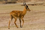 DSC04691_20090904