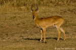 DSC04979_20090904