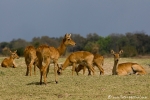 DSC05524_20090905