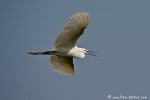 DSC04202_Uwe