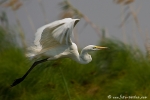 DSC04220_Uwe