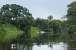 Im Cuyabeno Nature Reserve