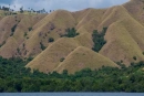 Sanfte grüne Hügel an der Küste von Flores
