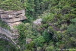 Im Blue Mountains National Park