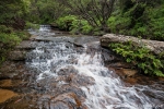 Zufluss der Wentworth Falls - Blue Mountains National Park