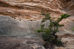 Am Ende der Hat Hill Road im Grose Valley gibt es verwitterte Sandsteinformationen und erodierte Sandsteinhöhlen - Blue Mountains NP