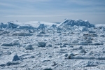 Eisbergstau am Eingang zur Diskobucht