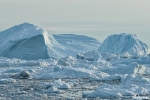 Eisberge von gigantischem Ausmass treiben in der Bucht