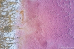 Salzstrukturen des Pink Lake