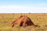 Mehr als ein paar rote Termitenhügel hat die Landschaft nicht zu bieten.