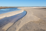 Die Shark Bay hat noch mehr Muschelstrände