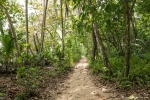 Dschungelweg im Cahuita NP