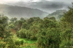 Ausblick von der Paraiso Quetzal Lodge