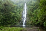 Wasserfall im Juan Castro Blanco NP