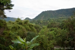 Blick auf den Bergregenwald von Mindo