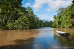 Mitten im Amazonasbecken - Yasuni National Park