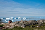Blick in die Diskobucht - Ilulissat