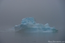 Nebel umhüllt die Eisberge