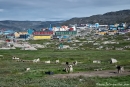 Hundeparkplatz - Ilulissat