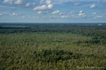 Der Regenwald von Borneo aus der Luft