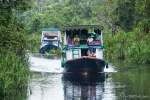 Mit einem Klotok (Hausboot) fahren wir in den Tanjung Puting Nationalpark