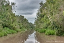 Der Fluss zieht sich mitten durch den Regenwald von Borneo
