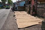 Reis wird überall an der Straße getrocknet