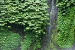 Air Terjun Munduk, auch Munduk-Wasserfall genannt
