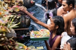 Viele Gläubige bringen Opfergaben an die heiligen Quellen - Pura Tirta Empul