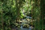 Idyllische Schlucht des Pakrisan-Flusses - Gunung Kawi