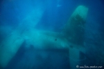 Unterwasserwelt von Aqaba - versenktes Fleugzeug