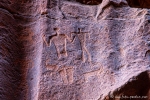 Betende Füße, Steinbock, Wadi Rum