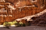 Im Wadi Rum