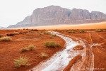 Regen im Wadi Rum