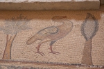 Bodenmosaik in der Apostel-Kirche Madaba