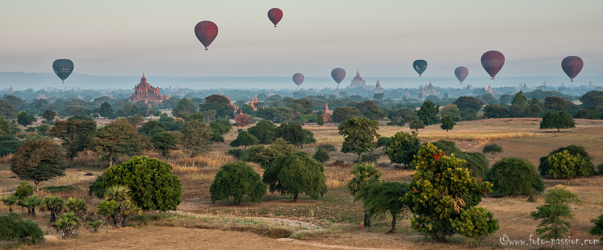Pagodenfeld in Bagan