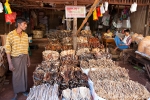 Trockenfisch - Markt in Bago