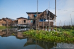 Pfahlbauhütten und schwimmende Gärten prägen das Bild auf dem Inle See