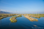 Schwimmende Gärten auf dem Inle See