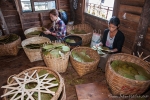 Blätter sortieren für die Cheroots, die typischen Zigarren aus Myanmar - Zigarrenmanufaktur auf dem Inle See