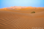 Wüste bei Al-Hashman
