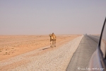 ... und da ist es schon! Wüste Rub al-Khali