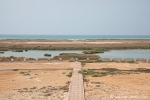 Feuchtgebiet bei Salalah